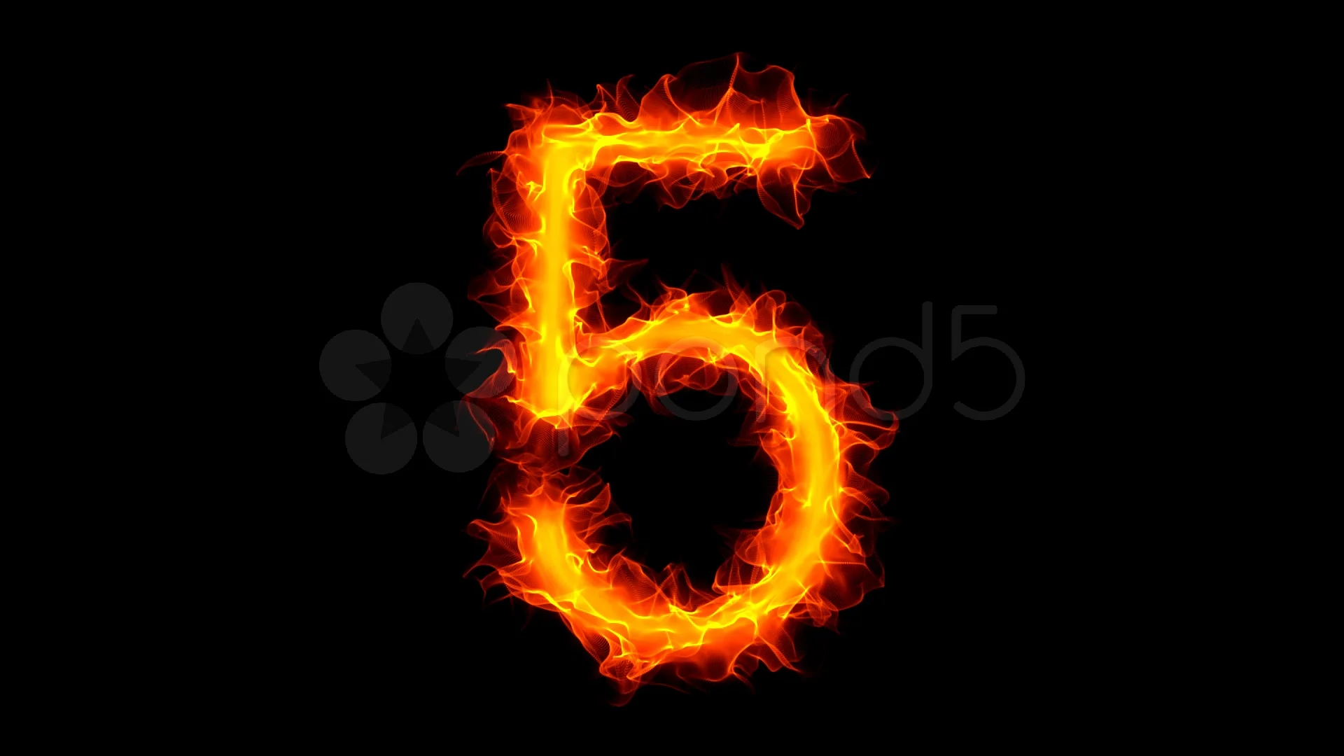 Numero 5 free fire