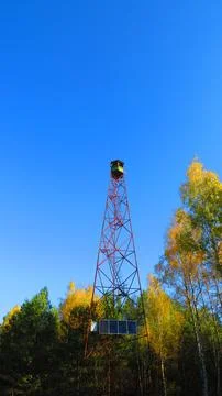 Fire Observation Tower Rising Above Autumn Forest Canopy, Polesie Reserve, .. Stock Photos