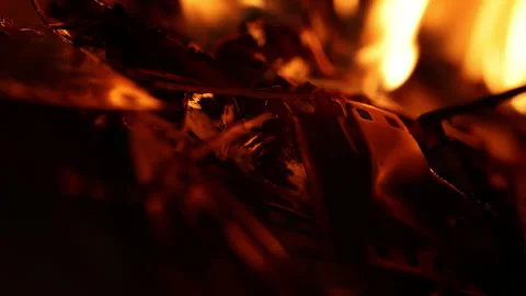 Fire Old Film Stock Footage 205543609
