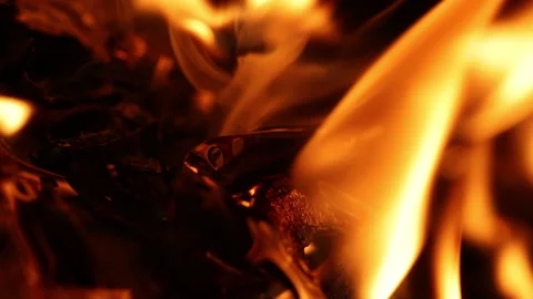 Fire Old Film Stock Footage 205544115