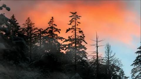 Fire Orange Clouds Over Snowy Pine Trees Stock Footage 8968884