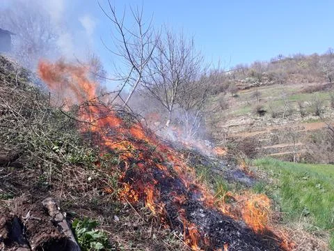 Fire outside Stock Photos