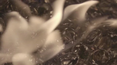 Fire Over Marbles Closeup 480 fps Stock Footage 64204249