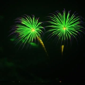 Fire palm Stock Photos