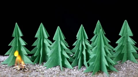 Fire in paper forest Stock Footage 60615645