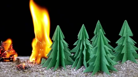 Fire in paper forest Video stock 60615678
