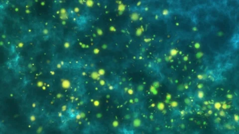 Fire Particle Background With OF Pine Color Stock Footage 185976836