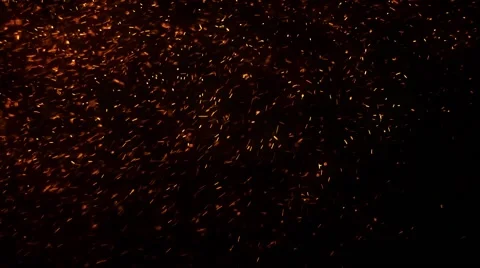 Fire Particle Sparks 2 Stock Footage 48231306