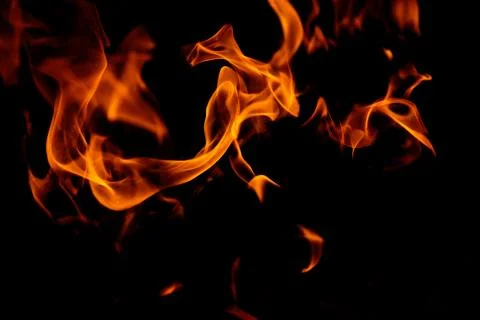 Fire petals Stock Photos