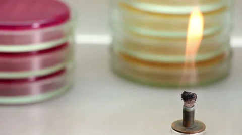 Fire on the petri plates stacks background Stock Footage 60239495