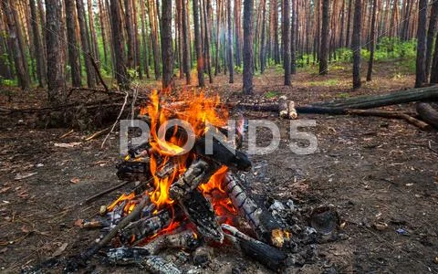Fire Stock Photos