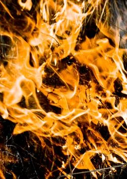 Fire Stock Photos