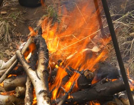 Fire. Stock Photos