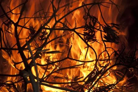 Fire Stock Photos