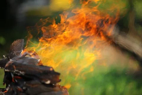 The fire Stock Photos