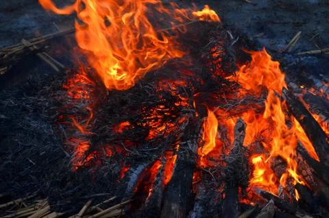Fire Stock Photos