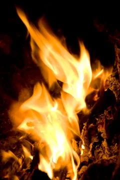 Fire Stock Photos