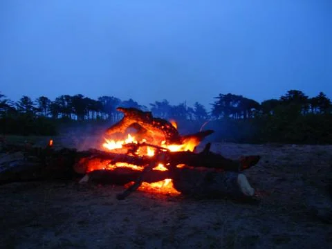 The fire Stock Photos