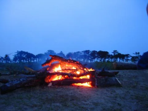 The fire Stock Photos