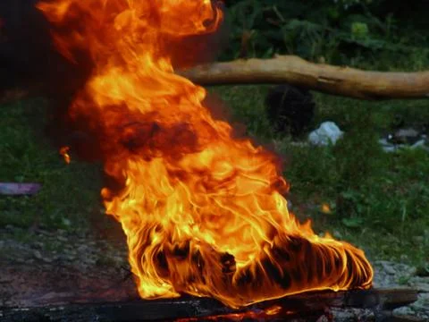 The fire Stock Photos