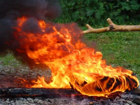 The fire Stock Photos