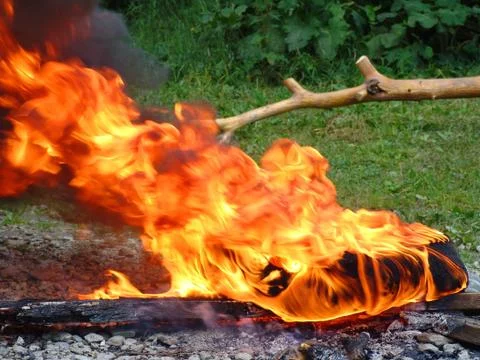 The fire Stock Photos