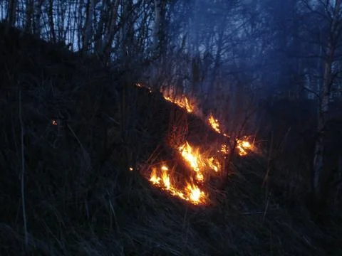 The fire Stock Photos