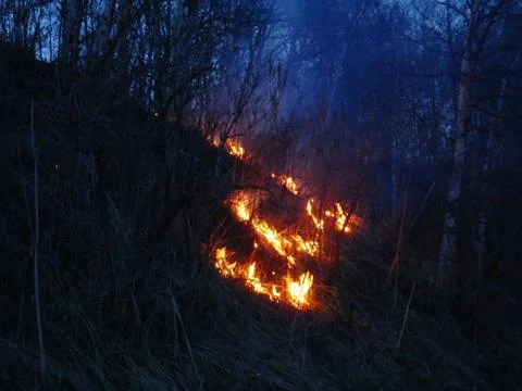 The fire Stock Photos