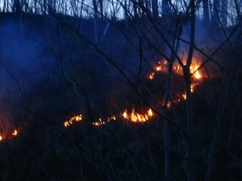 The fire Stock Photos