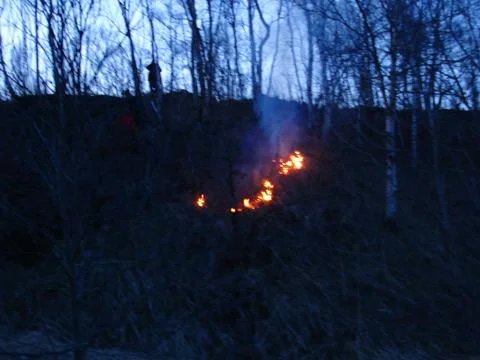 The fire Stock Photos