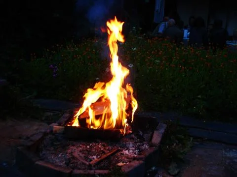 The fire Stock Photos