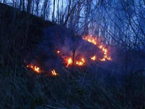 The fire Stock Photos