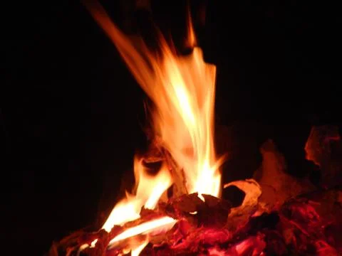 The fire Stock Photos