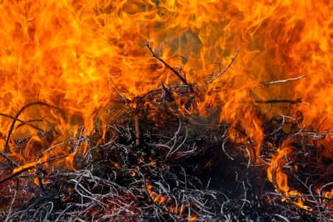 Fire Stock Photos