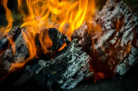 The fire Stock Photos