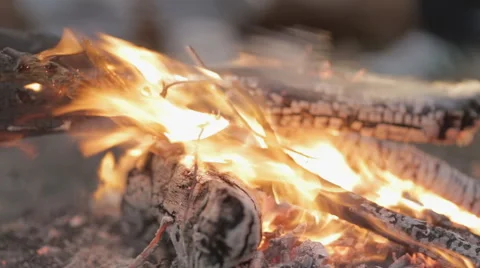 A fire at a picnic in the evening Stock Footage 55690590