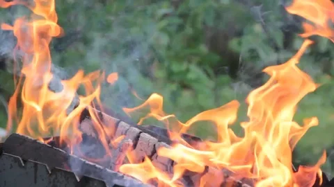 Fire picnic in nature Stock Footage 81001505