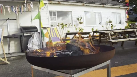 Fire Pit 1 Stock Footage 229578973