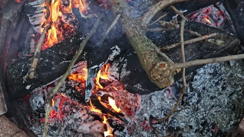 Fire in a pit with burning wood and glowing embers at a campsite in the evening Stock Footage 340165351