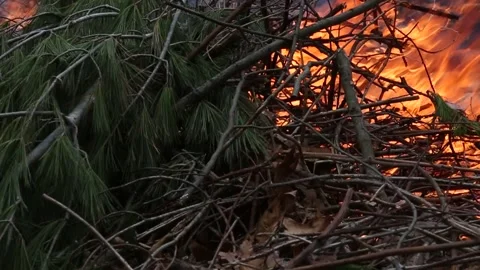 FIRE PIT BURNS Stock Footage 273985908