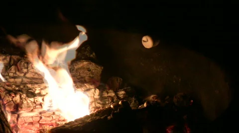 Fire pit close up with browning marshmallow Stock Footage 488048