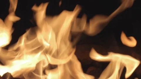 Fire Pit CU Stock Footage 115469509