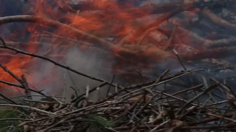 FIRE PIT Stock Footage 273985910