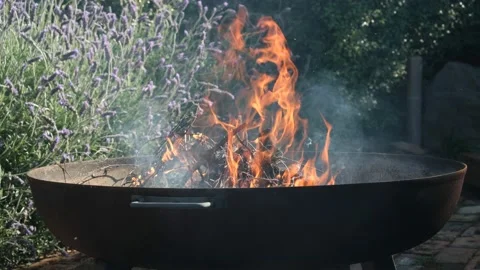 Fire Pit with Lavender Bush in Background 4K Stock Footage 238438285