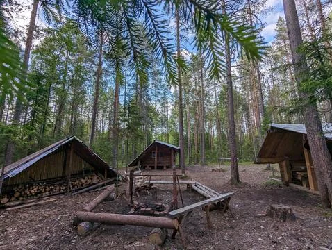 Fire pit located in the forest amidst the natural landscape Stock Photos