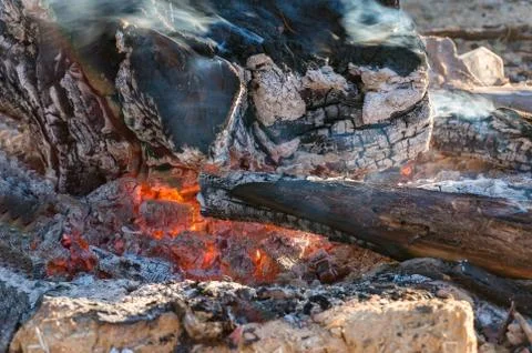 Fire pit with logs burning and charcoal red from heat. Texture, background Stock Photos