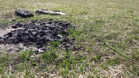 Fire pit in nature, coals on the grass in summer. Copy space for text Stock-Footage 307207497