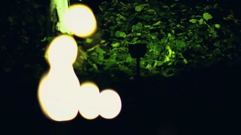  Fire Pit Rack Focus Stock Footage 78145428