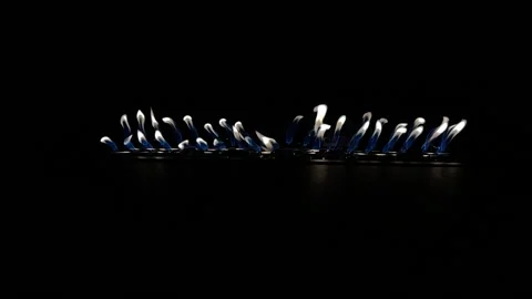 Fire pit slow motion Video stock 166763338