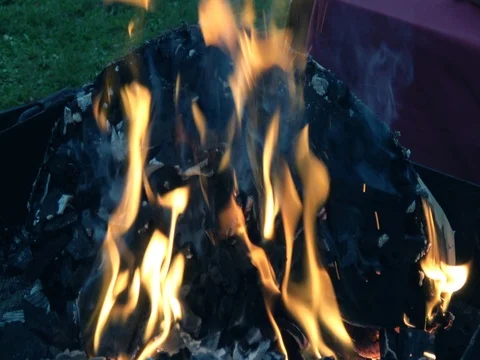 Fire place bbq slow motion  Video stock 71319756